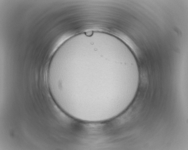 X0000115421290200911241340