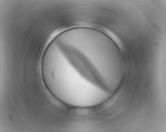 X0000115421291200911241340