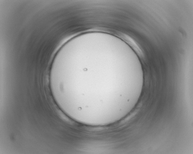 X0000115421292200911241340