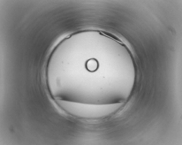 X0000115421293200911241340