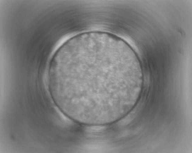 X0000115421294200911241340