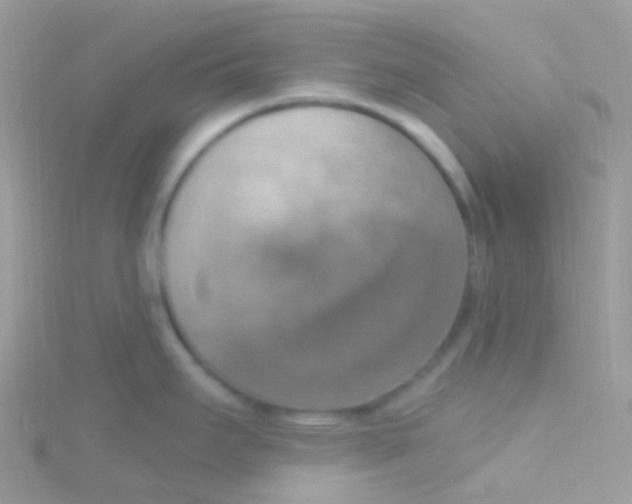 X0000115421295200911241340