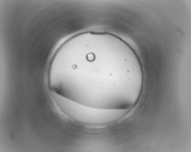 X0000115421296200911241340