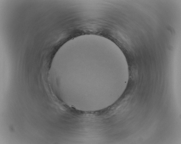 X0000115421297200911241340