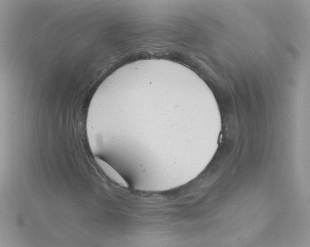 X0000115421298200911241340