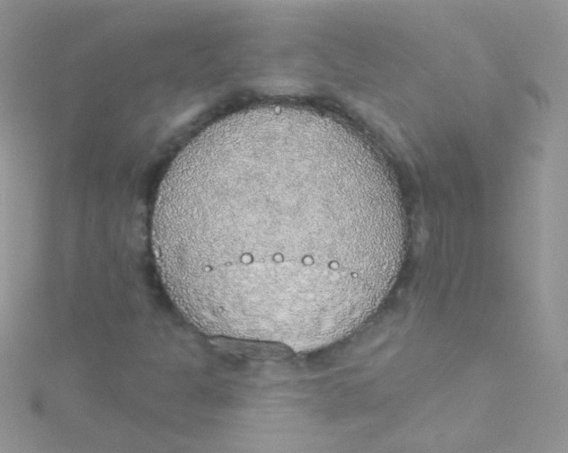 X0000115421301200911241340