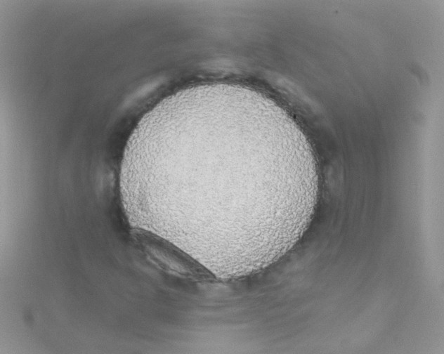 X0000115421302200911241340