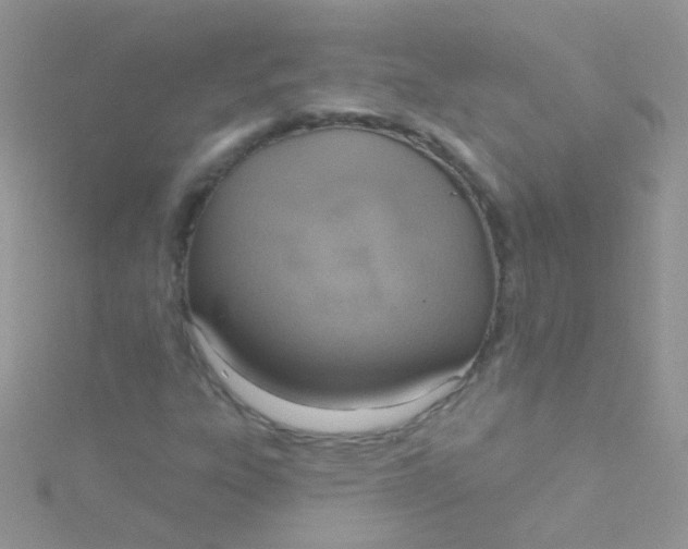 X0000115421303200911241340