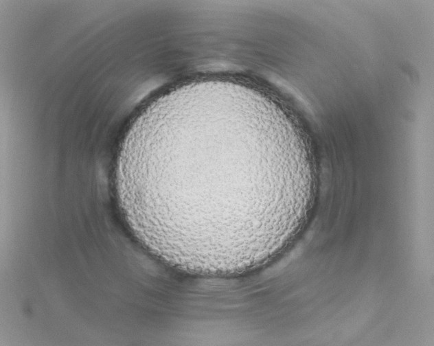 X0000115421305200911241340