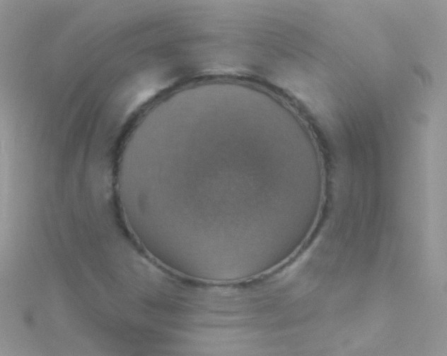 X0000115421306200911241340