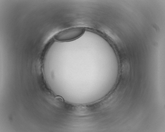 X0000115421310200911241340