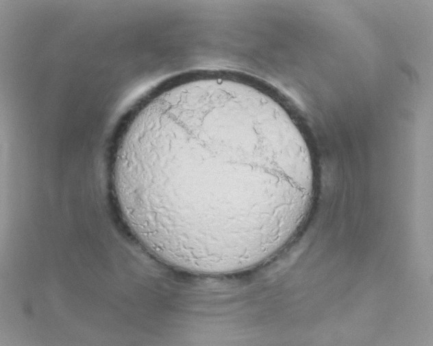 X0000115421311200911241340