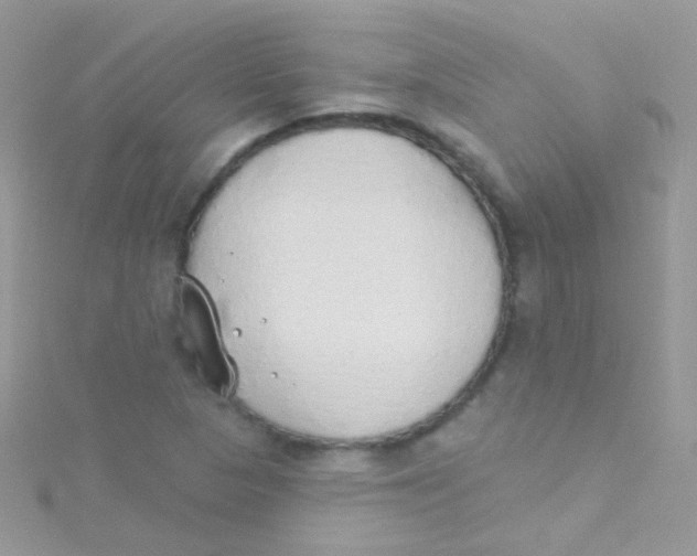 X0000115421313200911241340