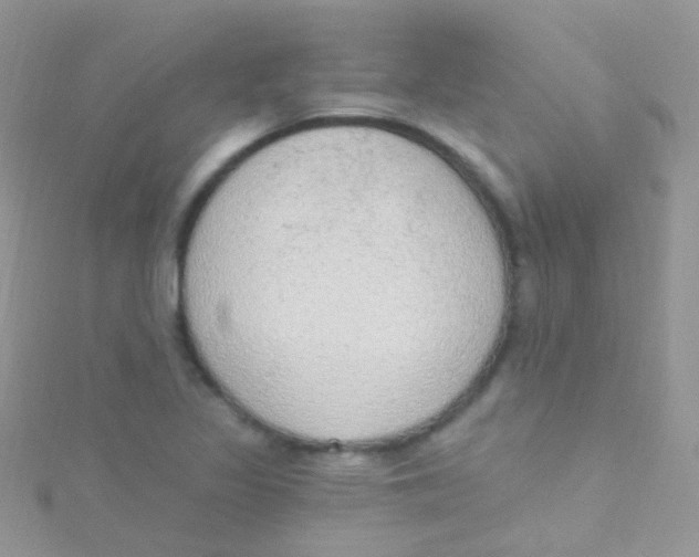 X0000115421317200911241340