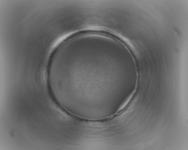 X0000115421319200911241340