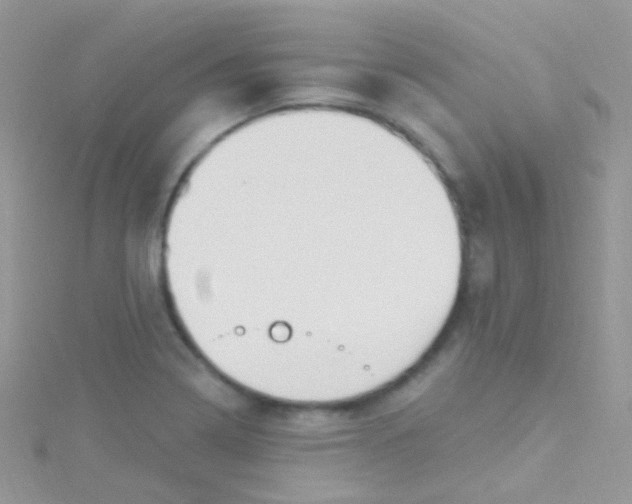 X0000115421322200911241340