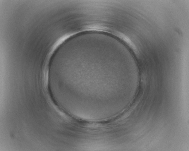 X0000115421323200911241340