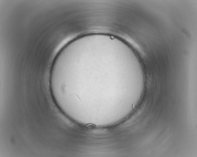 X0000115421325200911241340