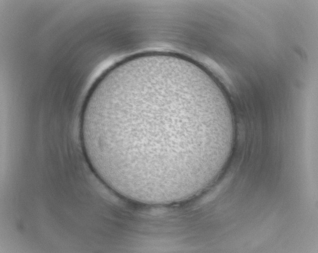 X0000115421326200911241340