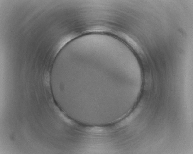 X0000115421329200911241340