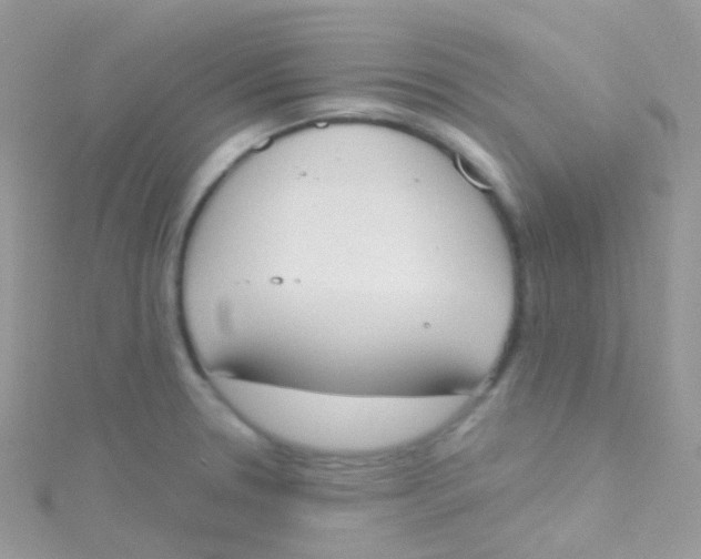 X0000115421330200911241340