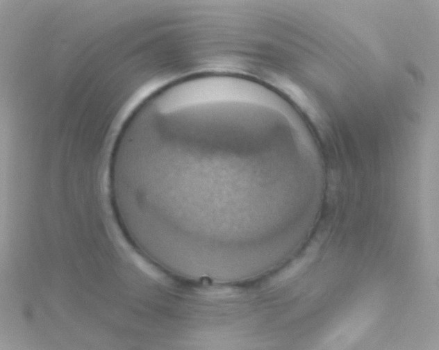 X0000115421331200911241340