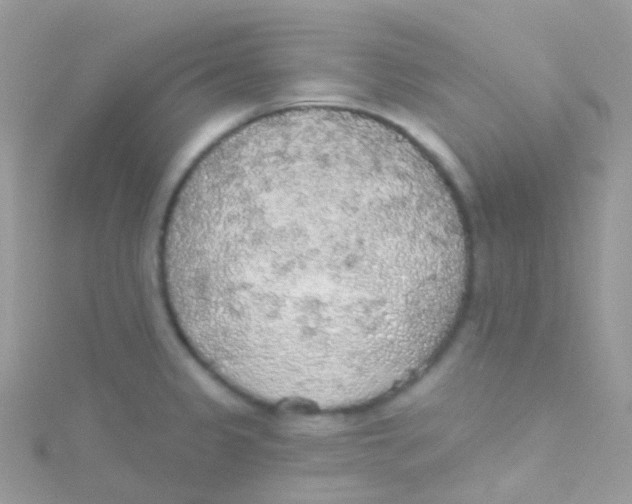 X0000115421333200911241340