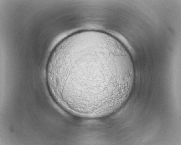 X0000115421335200911241340