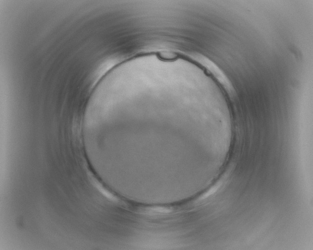 X0000115421337200911241340