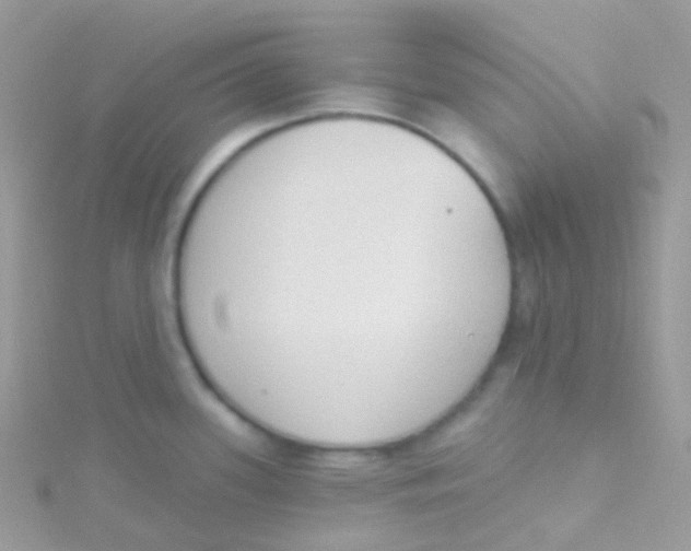 X0000115421339200911241340