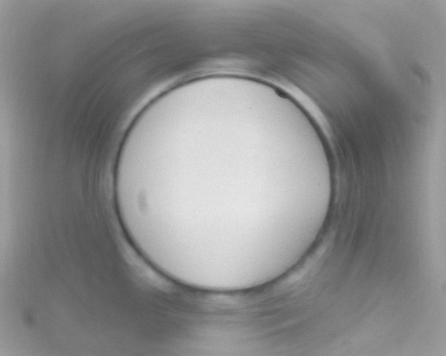 X0000115421341200911241340