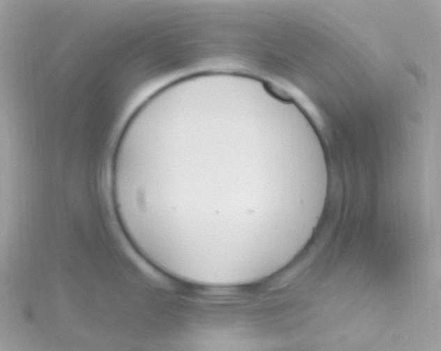 X0000115421343200911241340