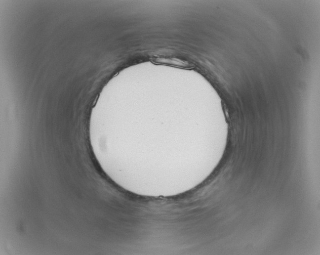 X0000115421345200911241340