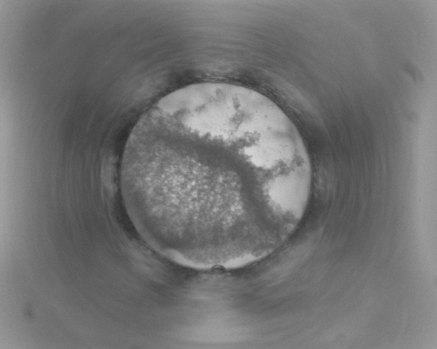 X0000115421346200911241340