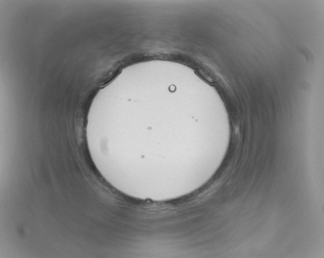 X0000115421348200911241340