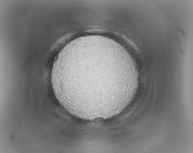 X0000115421351200911241340