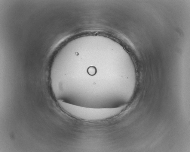 X0000115421352200911241340