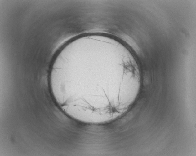 X0000115421356200911241339