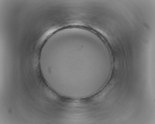 X0000115421359200911241339