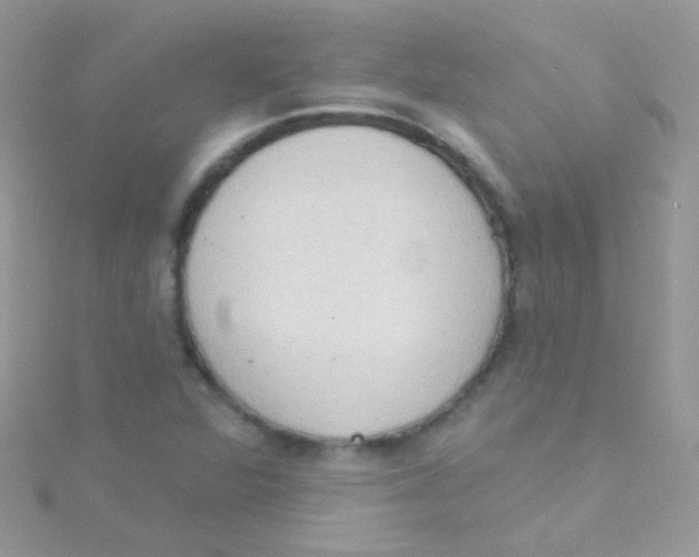 X0000115421360200911241339