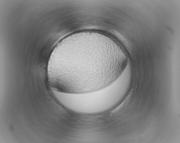 X0000115421361200911241339