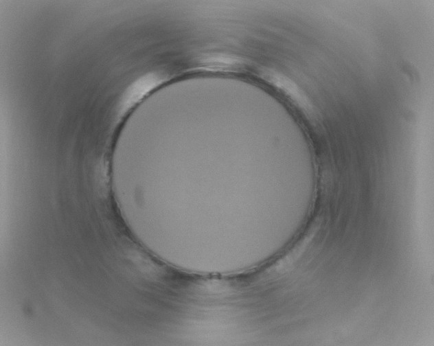 X0000115421362200911241339