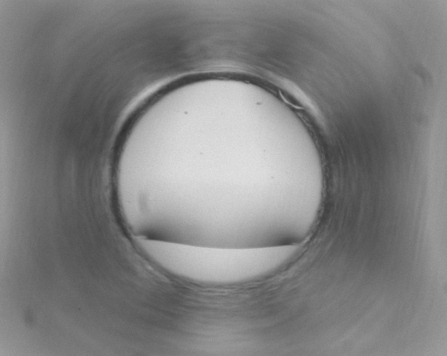 X0000115421364200911241339