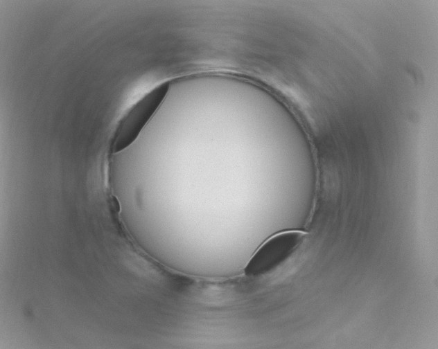 X0000115421365200911241339