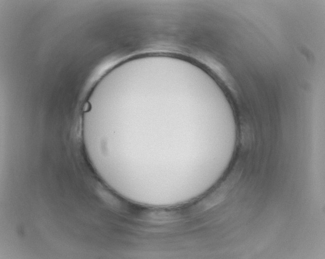 X0000115421366200911241339