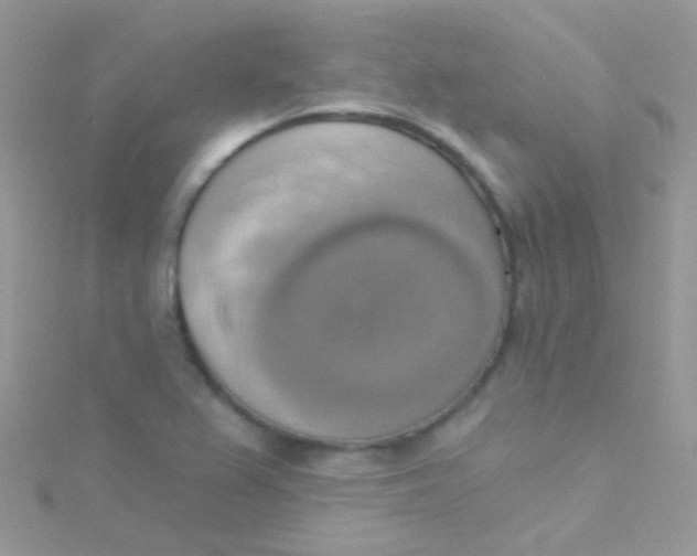 X0000115421367200911241339