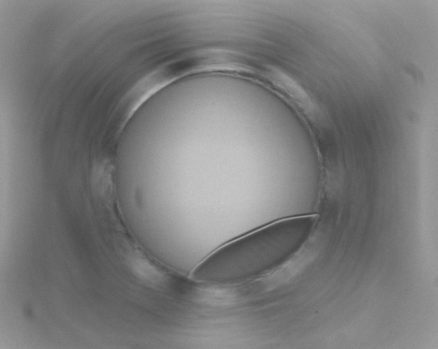 X0000115421369200911241339