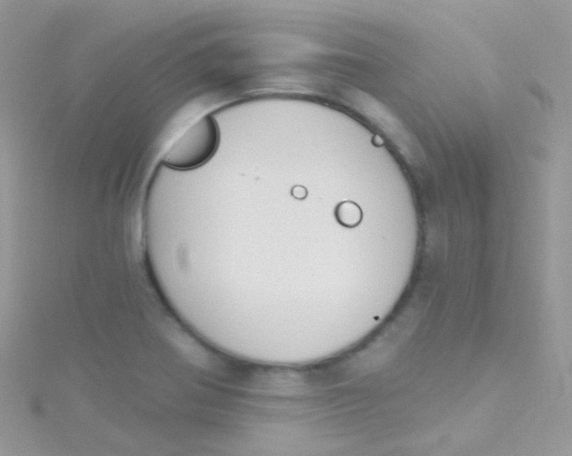 X0000115421370200911241339