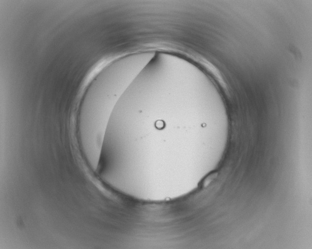 X0000115421373200911241339