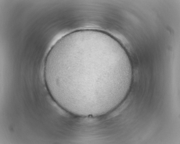 X0000115421374200911241339